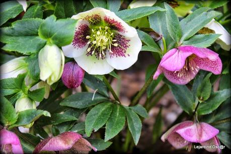 Printemps, es-tu là ? Printemps, es-tu là ?