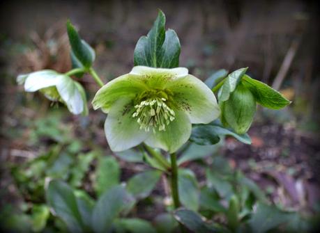 Printemps, es-tu là ? Printemps, es-tu là ?