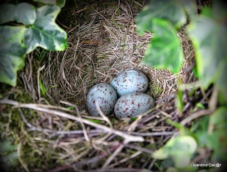 Printemps, es-tu là ? Printemps, es-tu là ?