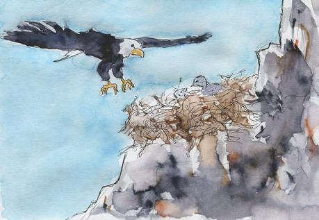 429) Un nid d'aigle 429) Un nid d'aigle