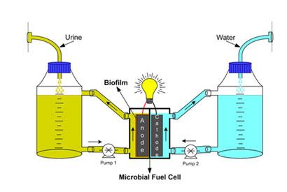 urine-fuel-cells_410_tcm18-209641