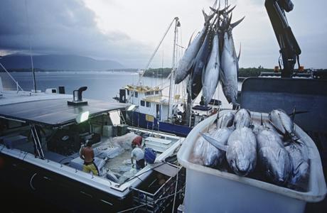 L'analyse des mégadonnées permet aussi de lutter contre la pêche illégale L'analyse des mégadonnées permet aussi de lutter contre la pêche illégale