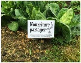 Les Incroyables Comestibles à Obernai ! Les Incroyables Comestibles à Obernai !