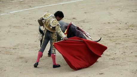 FANDIÑO A MADRID, PAR EL BIGOTES DSC09441