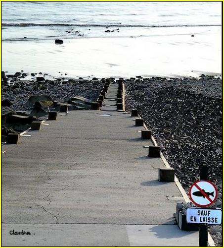 Les poissons d'avril qu'il fallait voir sur Le Havre et son agglomération 13524_800047423413907_8708879083066953786_n.jpg