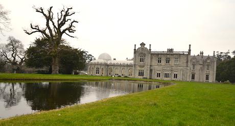 ON A TESTE: E-TV en Irlande pour la Saint Patrick ! jardin
