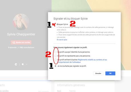 signaler -bloquer un faux profil google +