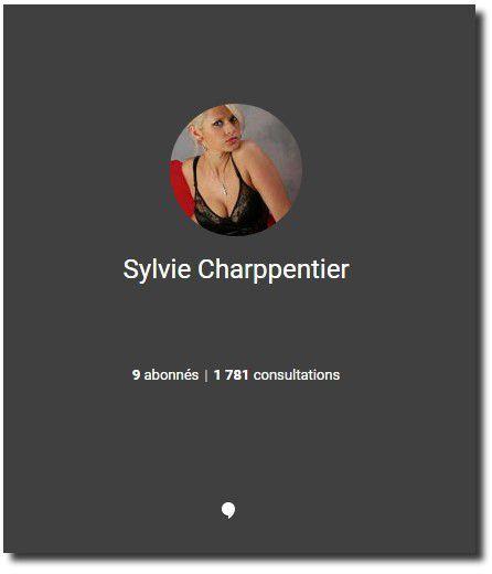 faux profil sur Google + sylvie Chappentier