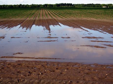 Inondations : la responsabilité oubliée des sols agricoles