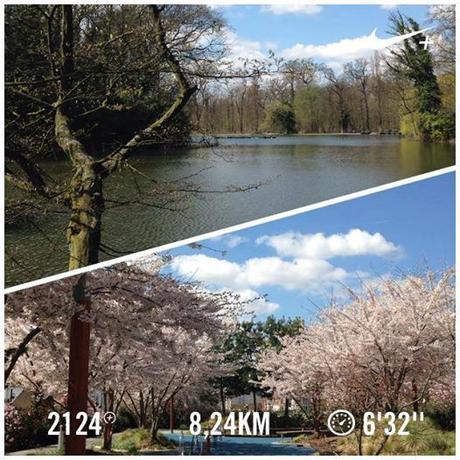 Détails de Pâques running_nike_plus