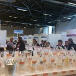 A la découverte des vins de Provence A la découverte des vins de Provence