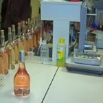 A la découverte des vins de Provence A la découverte des vins de Provence