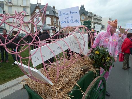 La ferme-usine des 23 000 cochons suscite la révolte en Vendée