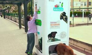 Comment Istanbul recycle de façon insolite ses bouteilles plastiques.