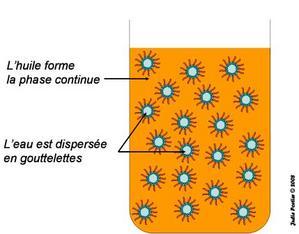 Comprendre les émulsions Comprendre les émulsions