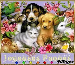 Vibrant plaidoyer : pourquoi tuer les animaux? pour les manger? Vibrant plaidoyer : pourquoi tuer les animaux? pour les manger?