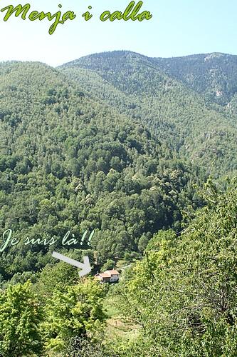 Champignons a gogo!!! Champignons a gogo!!!