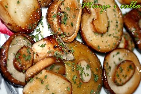 Champignons a gogo!!! Champignons a gogo!!!