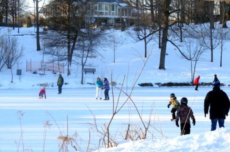 Patinoires Patinoires