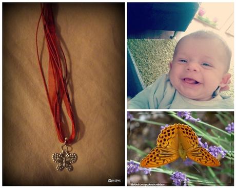 Instant T. #158# Parce ce que la Vie Continue ~ Les 5 Doigts de la Main ~ Images du Chat Bleu
