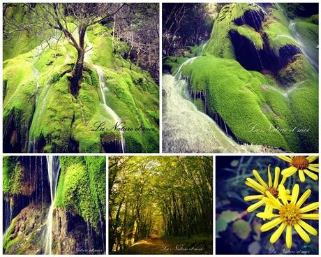 Instant T. #156# La Nature et Moi
