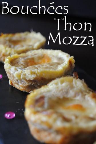 Bouchées au thon et mozzarella