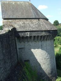 Le château de Tiffauges (85)