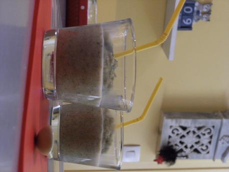 Velouté de brocolis.... Velouté de brocolis....