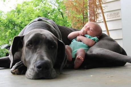 Coucou la Ah! que c'est bon la tendresse...