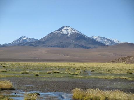 Marais Atacama