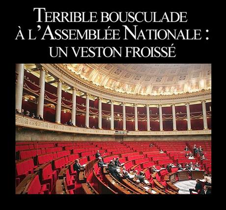 Regardez-vous en face, pauvres élus bousculade à l'assemblée nationale