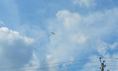 Petit coin du ciel anteketborka.blogspot.com, ciel 26 c
