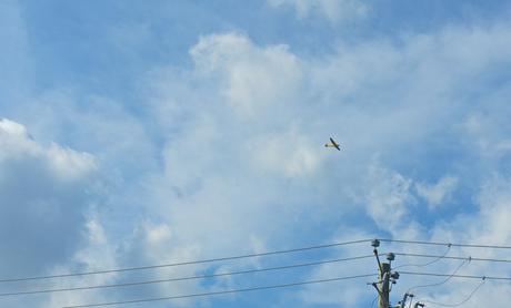 Petit coin du ciel anteketborka.blogspot.com, ciel 26 d