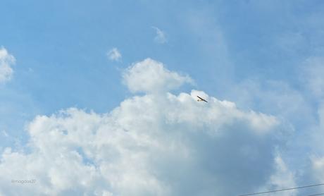 Petit coin du ciel anteketborka.blogspot.com, ciel 26 b