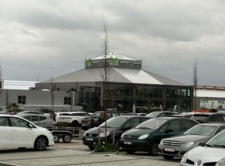 En Belgique pour deux plantes vertes, mais avec un porte-monnaie troué ! En Belgique pour deux plantes vertes, mais avec un porte-monnaie troué !