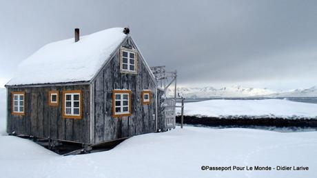 GROENLAND EST : En avant pour un festival de glace !