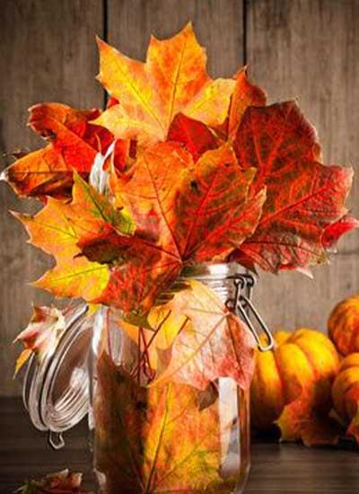Autumn leaves in glass jar still life with gourds in background