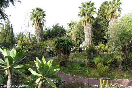 La bourse aux plantes de printemps au jardin botanique de Nice La bourse aux plantes de printemps au jardin botanique de Nice