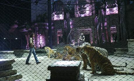Ouverture de Tigerworld au Zoo d’Amnéville Tigerwolrd 2