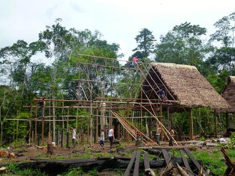 Travailler au Pérou : écotourisme en Amazonie