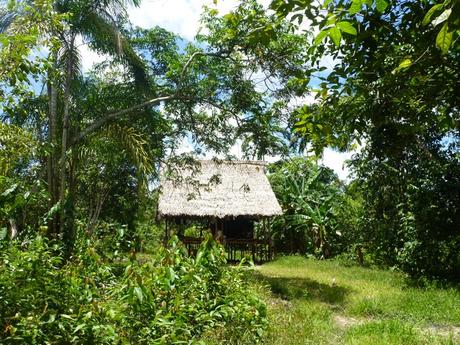 Travailler au Pérou : écotourisme en Amazonie