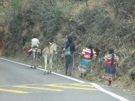 bord de route en direction de Tlapa Mexique