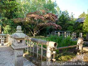 Le jardin japonais est un art associant l'eau, le végétal et la pierre