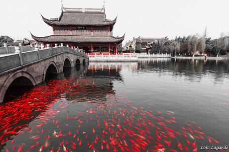 Zhouzhang Chengxu temple with its gold fishes (© Loïc Lagarde, Flickr)