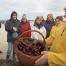  Expérience bretonne : apprendre à ramasser et à cuisiner les algues avec un chef cuisinier 