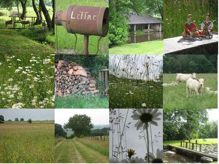 Ressourcée CAMPAGNE_