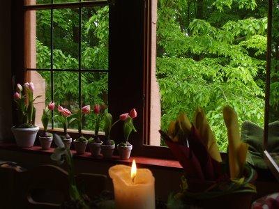 Première rencontre avec l'Allemagne