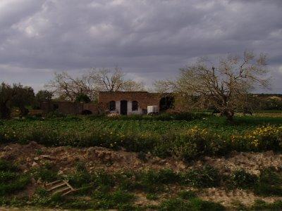 Les dernières photos