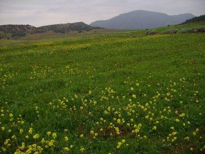 La libération de Fati !