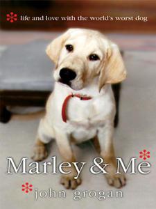 Teaser du nouveau film de Jennifer Aniston: Marley & Me